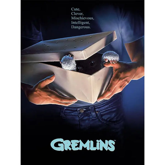 Gremlins (One-Sheet - Gizmo) 60 X 80cm Deep Canvas 38mm