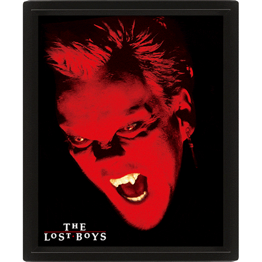 The Lost Boys Flip Picture