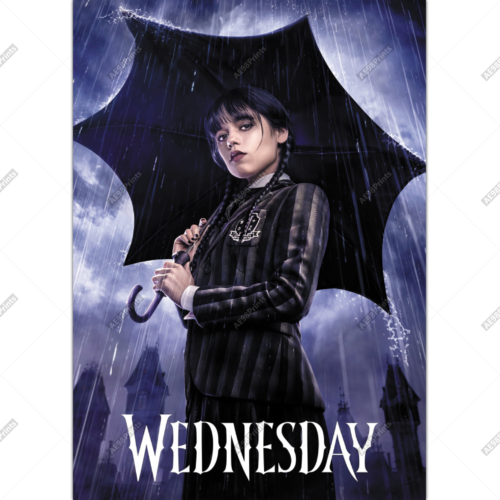 Wednesday Adams Framed Picture